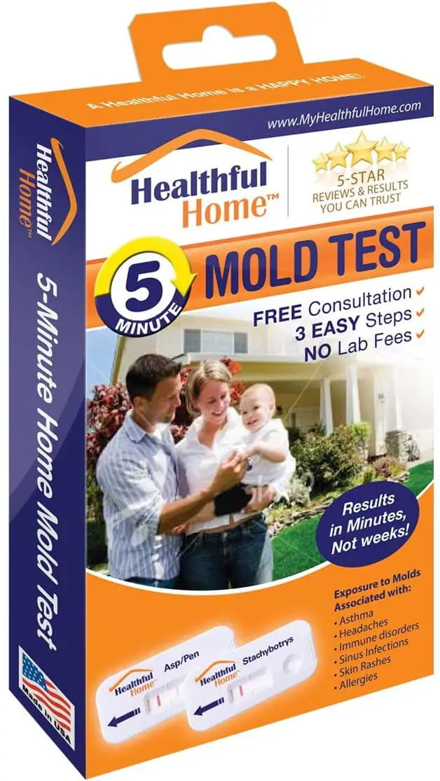 How To Test For Mold In My Apartment? – Apartment School